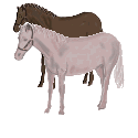 cheval_126%5B1%5D.gif